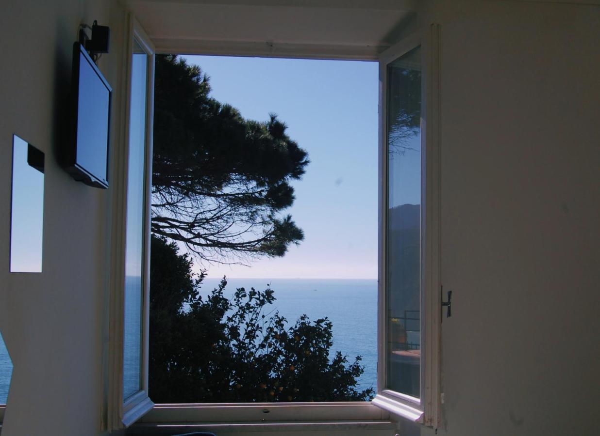 Guest house Dreams